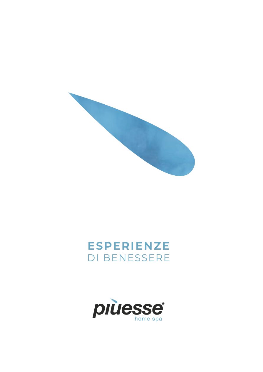 Piùesse - Company Profile (it)