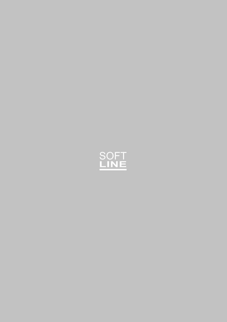 Softline - Workspace (en)