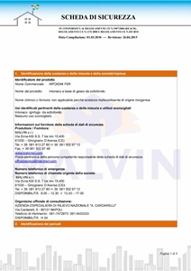 INTOIGNI FER scheda di sicurezza
