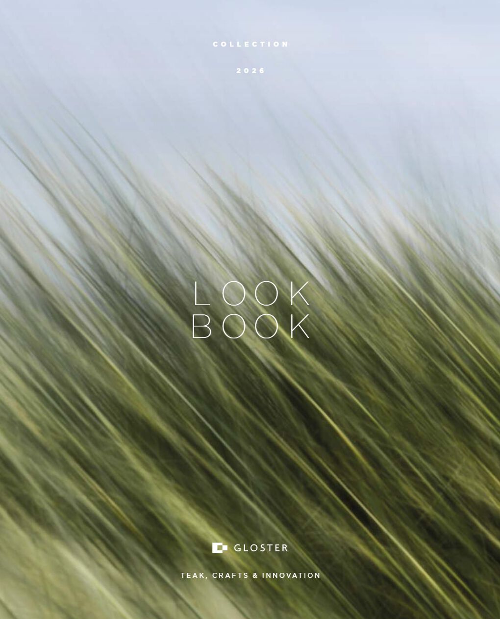 Look Book 2026 (en)