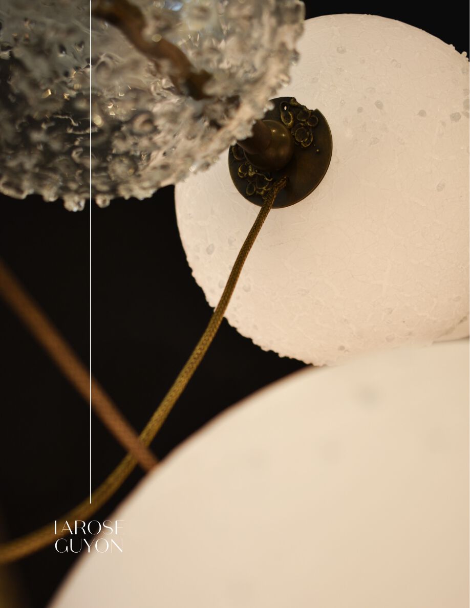 Coco-de-mer (en, fr)