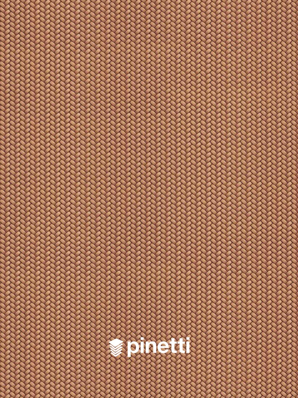 Pinetti - Catalogue 2026 (it, en)